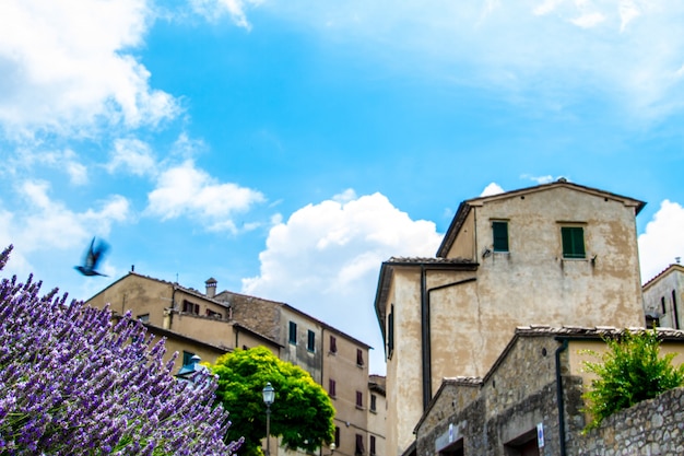 Belle ville italienne, Rome en amour