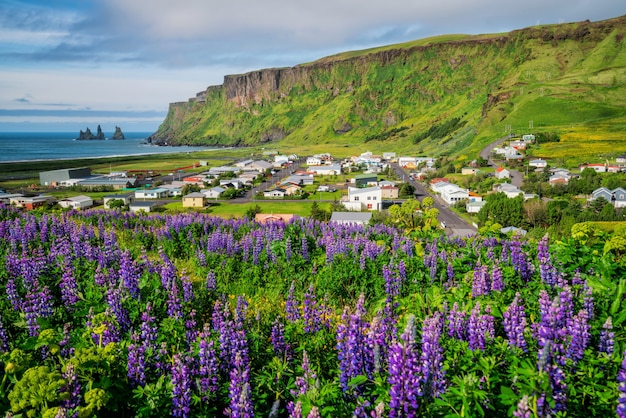 Belle ville de Vik i Myrdal Islande en été.