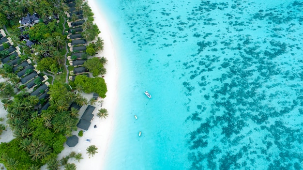 Belle vue aérienne des Maldives et de la plage tropicale. Concept de voyage et de vacances