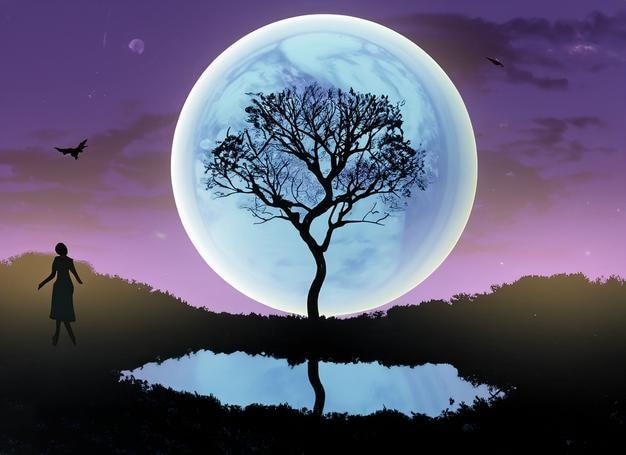 Belle vue avec arbre