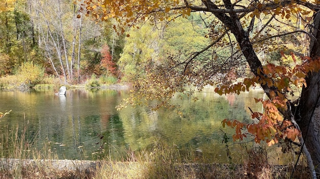 Belle vue d'automne d'un lac et d'une forêt colorée