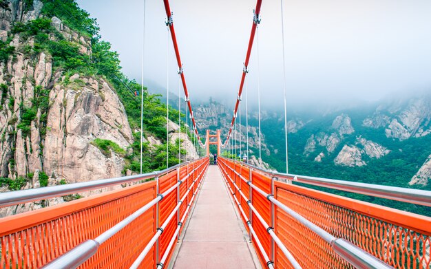 Photo belle vue sur l'aventure cloud bridge au parc national de wolchul san, yeongam, corée du sud