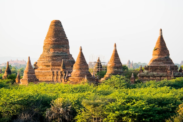 Une belle vue sur Bagan au Myanmar