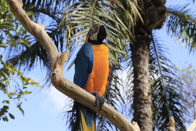 Une belle vue sur Bird Park situé à Bali en Indonésie