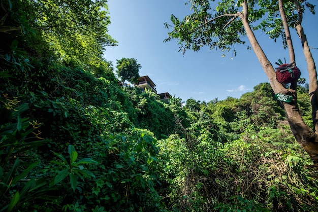 Une belle vue sur la cascade de Tegenungan à Bali Indonésie