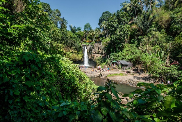 Une belle vue sur la cascade de Tegenungan à Bali Indonésie