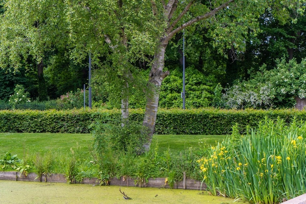 Belle Vue Sur Le Centre-ville Historique Sur La Rivière Par Une Journée Ensoleillée Avec Un Ciel Bleu