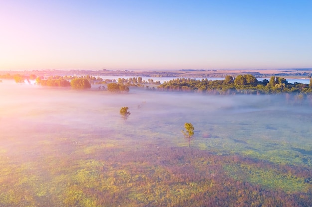 Une belle vue sur le champ couvert de brouillard