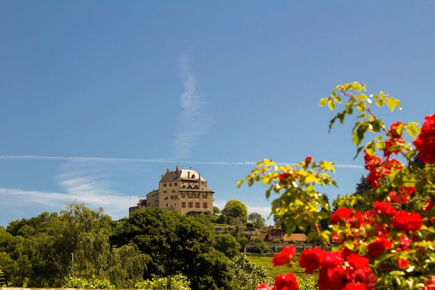 Belle vue sur château par une journée ensoleillée.Menthon-Saint-Bernard.France.