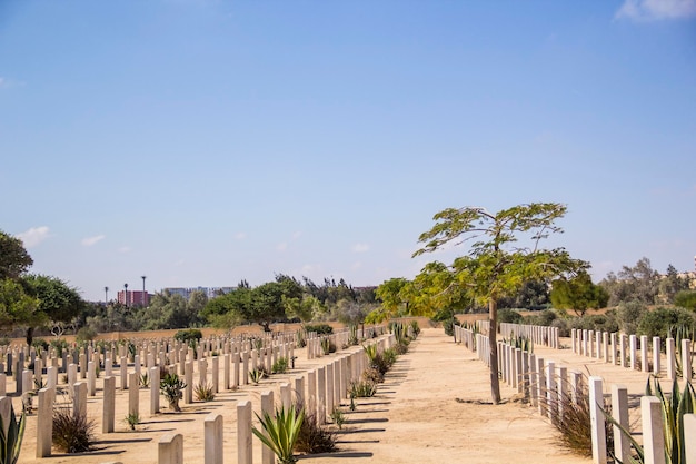 Belle vue sur le cimetière de guerre britannique d'El Alamein à El Alamein, Egypte