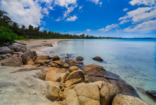 belle vue avec des cocotiers le long de la plage sur l'île de bintan