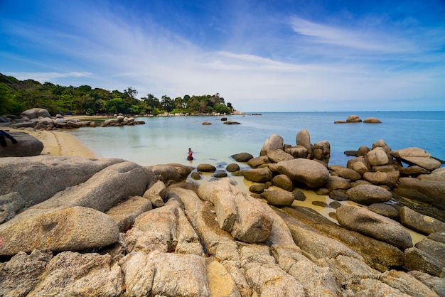 belle vue avec des cocotiers le long de la plage sur l'île de bintan