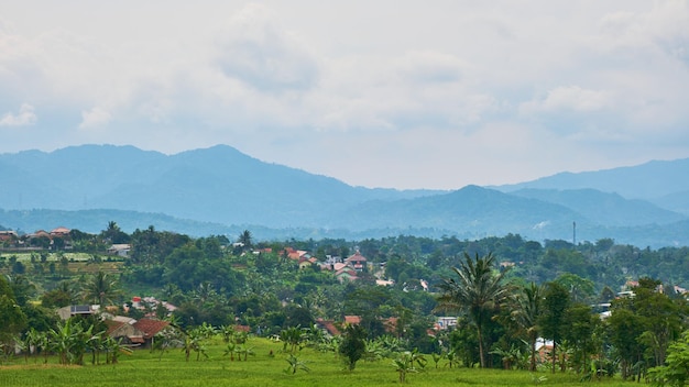 Belle vue sur la colline et les rizières, West Java, Indonésie