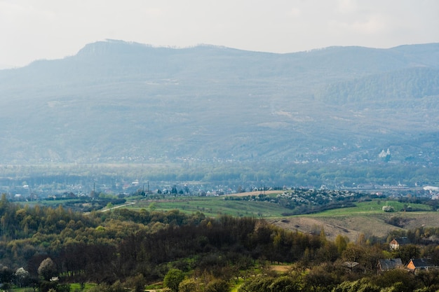 Belle vue sur les collines verdoyantes Paysage