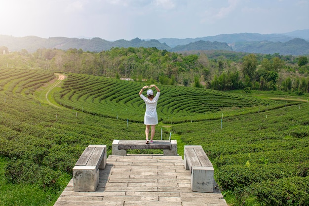 Belle vue sur le coucher du soleil sur la montagne avec une fille à la plantation de thé Choui Fong, Thaïlande du nord Chiang Rai