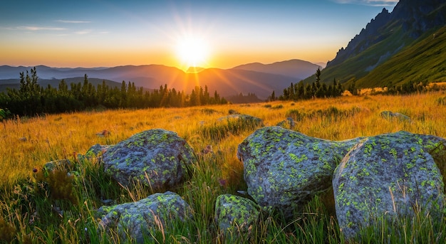 Une belle vue sur un coucher de soleil en automne