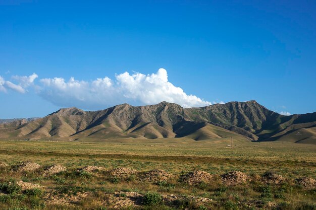 Belle vue dans la steppe de montagne