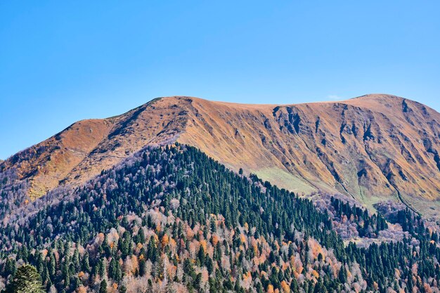 Belle vue du haut de la crête du Caucase