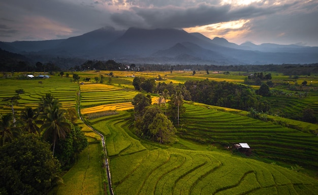 Belle vue du matin indonésie Panorama Paysage rizières avec beauté couleur et ciel naturel