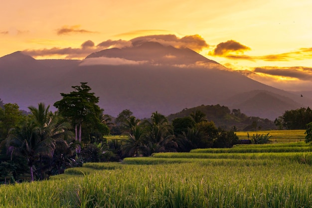 Belle vue du matin indonésie Panorama Paysage rizières avec beauté couleur et ciel naturel