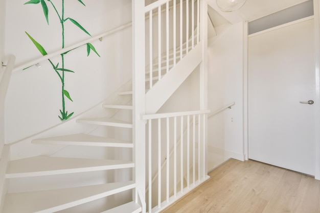 Belle vue sur l'escalier de la maison moderne dans le hall