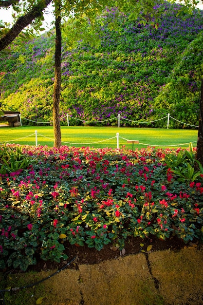 Une belle vue sur le festival des fleurs situé à Chiang Rai en Thaïlande