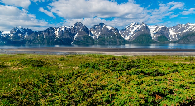 Belle vue sur le fjord en Norvège