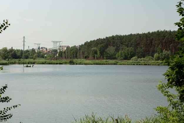 Belle vue sur la forêt et le lac