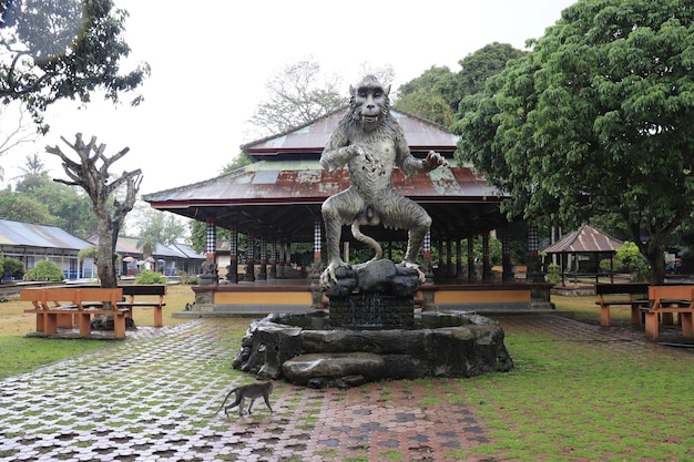 Une belle vue sur la forêt des singes à Bali Indonésie