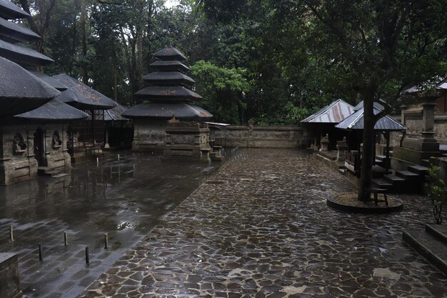 Une belle vue sur la forêt des singes à Bali Indonésie