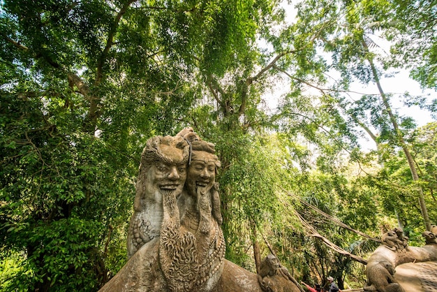 Une belle vue sur la forêt des singes située à Ubud Bali Indonésie