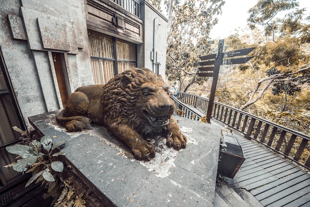 Une belle vue sur la forêt des singes située à Ubud Bali Indonésie