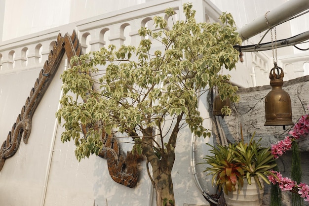 Une belle vue sur le Golden Mount Temple situé à Bangkok en Thaïlande