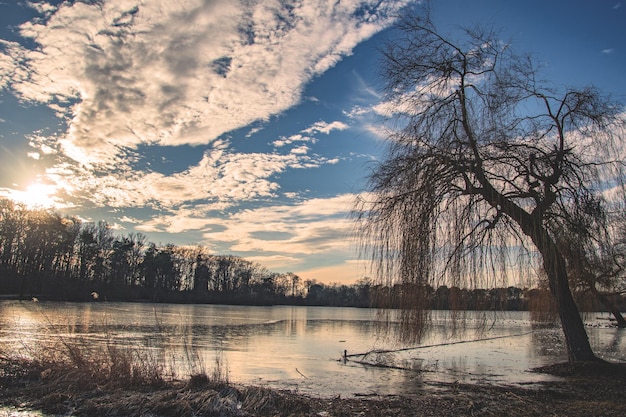 belle vue d'hiver sur un lac à Ingolstdt en Allemagne canards et cygnes gelés sur un lac d'hiver