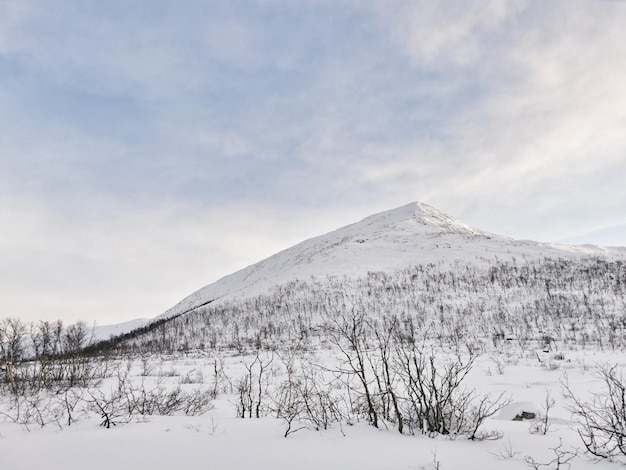 Belle vue sur l'île de Kvaloya avec un lac et des montagnes à Tromso, Norvège