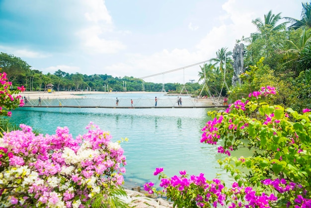 Une belle vue sur l'île de Sentosa à Singapour