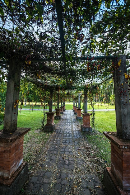 Une belle vue sur le jardin botanique situé à Bali en Indonésie