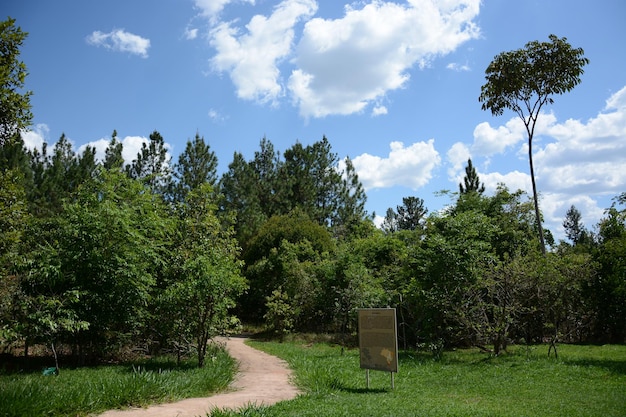 Une belle vue sur le jardin botanique situé à Brasilia Brésil