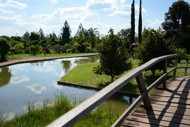 Une belle vue sur le jardin botanique situé à Brasilia Brésil