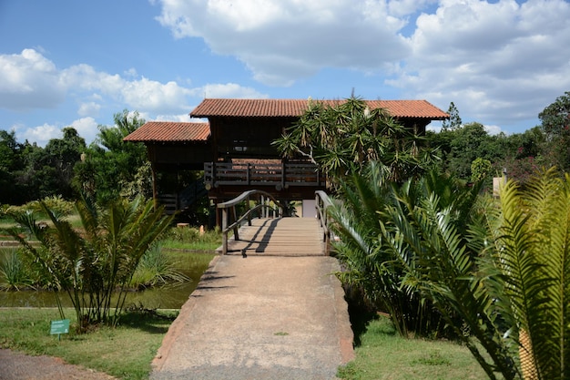 Une belle vue sur le jardin botanique situé à Brasilia Brésil