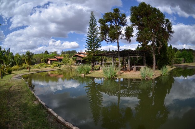 Une belle vue sur le jardin botanique situé à Brasilia Brésil