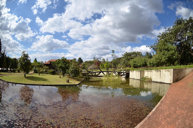 Une belle vue sur le jardin botanique situé à Brasilia Brésil