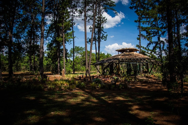 Une belle vue sur le jardin botanique situé à Brasilia Brésil