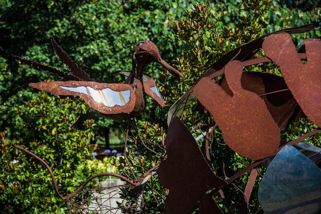 Une belle vue sur le jardin botanique situé à Brasilia Brésil