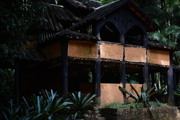 Une belle vue sur le jardin botanique situé à Sao Paulo Brésil