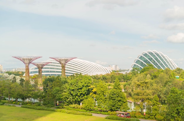 Une belle vue sur les jardins de la baie située à Singapour