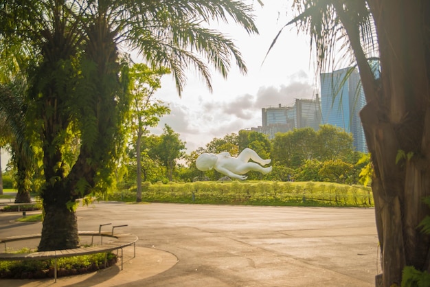 Une belle vue sur les jardins de la baie située à Singapour