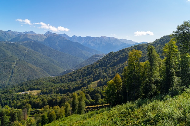 Belle vue à Krasnaya Polyana