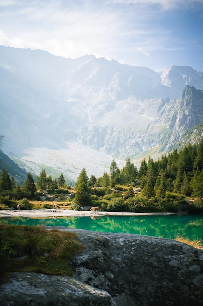 Une belle vue sur le lac d'aviolo