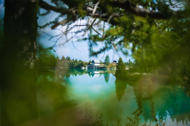 Une belle vue sur le lac d'aviolo